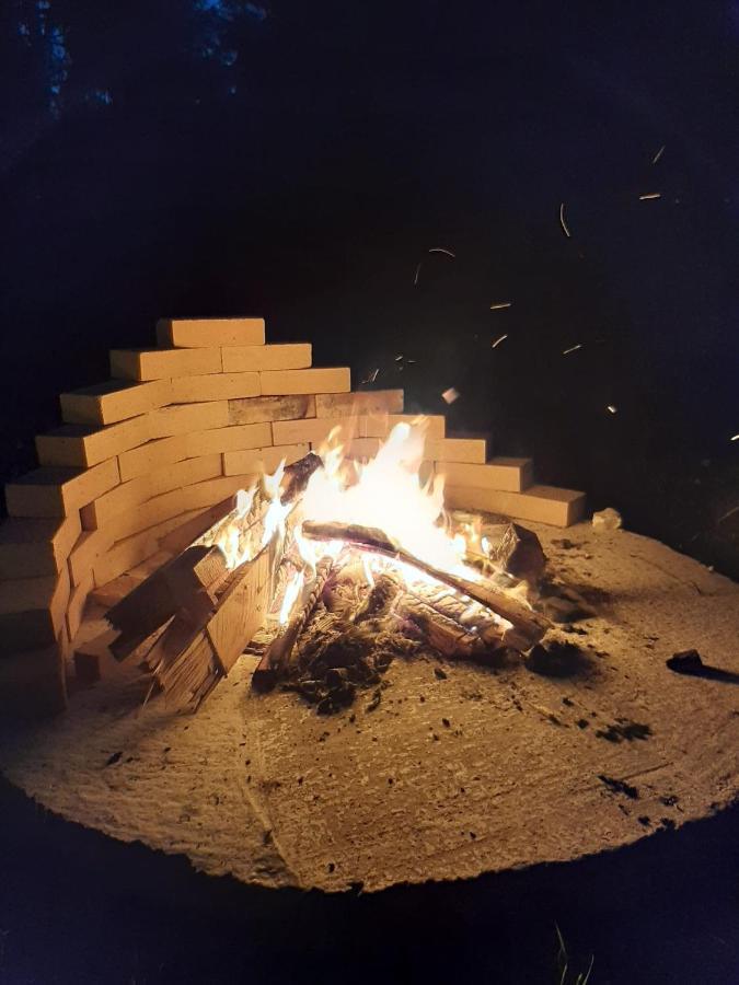 Noor Villa Vatra Dornei Bagian luar foto